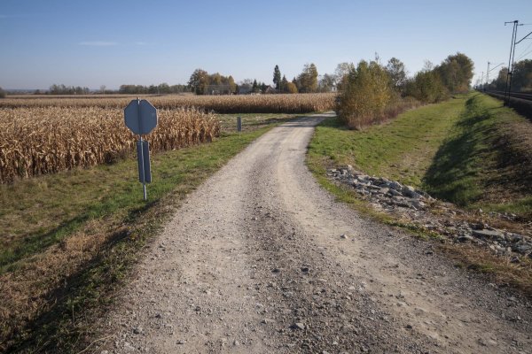 - dro_gl_pkp_2019_02.jpg Obraz na stronie dro_gl_pkp_2019_02.jpg