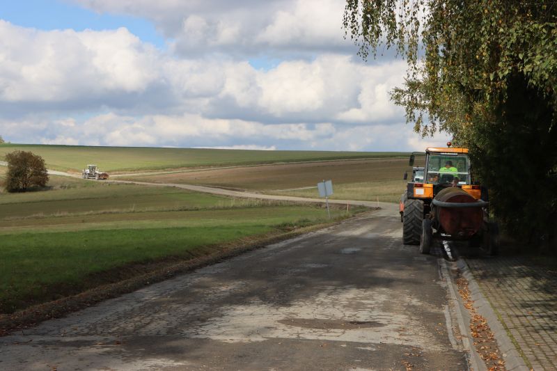 Gościńczyk Handzlówka 1