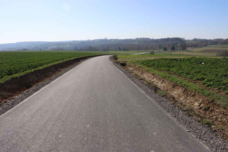 Gościńczyk Handzlówka 2