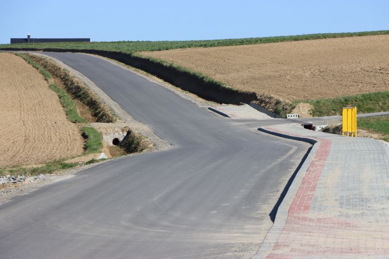 Gościńczyk Handzlówka 5